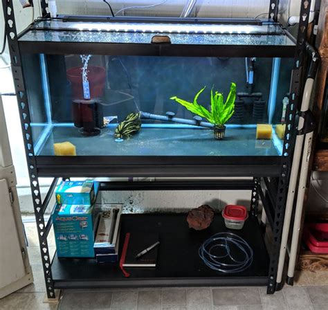 Aquarium Rack For Two 40 Gallon Breeders Odin Aquatics