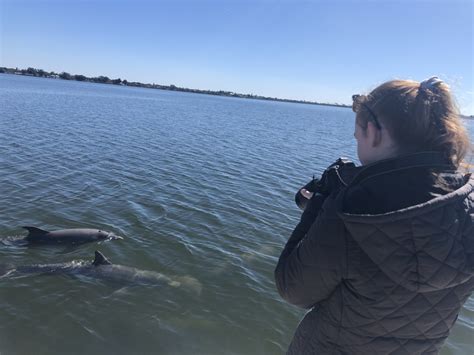 Graduate Student Education Sarasota Dolphin Research Program