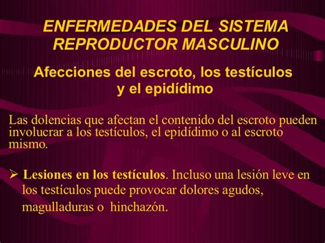 Sistema Reproductor Masculino Y Femenino Scie112