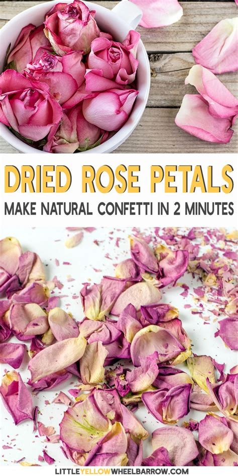 How To Dry Rose Petals In Under Two Minutes Flat 2022 Dried Rose