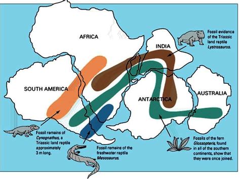 Geology Biology Agree On Pangaea Supercontinent Breakup Dates Geology In