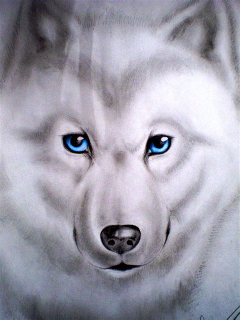 Anime White Wolf With Blue Eyes Aia
