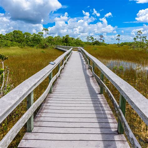 6 Things To Do In Everglades National Park Travelawaits Everglades