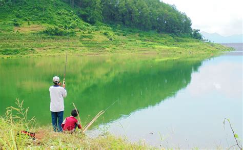 Namun, siapa sangka kalau tulungagung juga punya danau yang mirip ranu kumbolo!? Ranu Gumbolo, Wisata di Tulungagung dengan Pemandangan ...