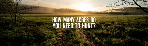 How Many Acres Do You Need To Hunt Whitetail Onx Hunt