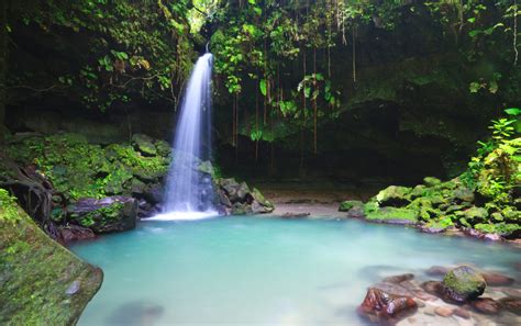 Jungle Bay Dominica Eco Friendly Villas In The Caribbean Kiwano