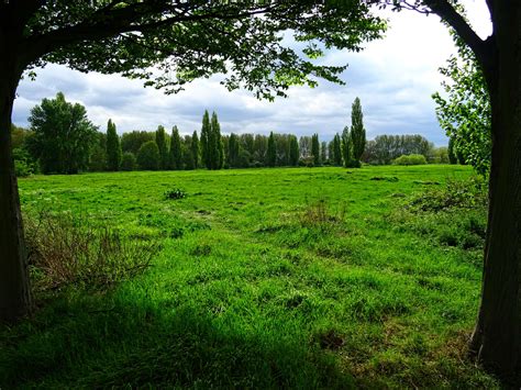 2048x1356 Countryside Daylight Landscape Outdoors Park Rural Scenic Summer Trees