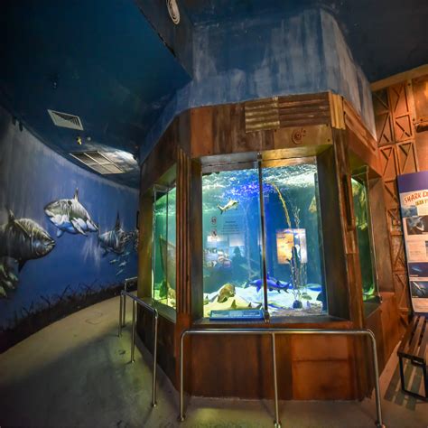 Book your tickets online for underwater world langkawi, langkawi: Langkawi Underwater World Ticket | Travel Langkawi_XQ Holidays