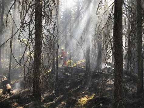 Rain Aids In Suppression Of Gogama Forest Fire