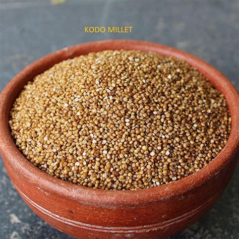 Buy Organic Kodo Millet 500g Online In Mohali At Best Price