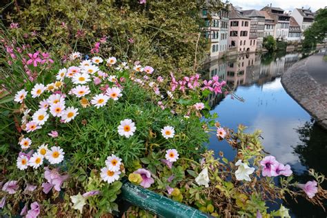 A Taste Of Alsace In Strasbourg And Colmar Adventurous Kate