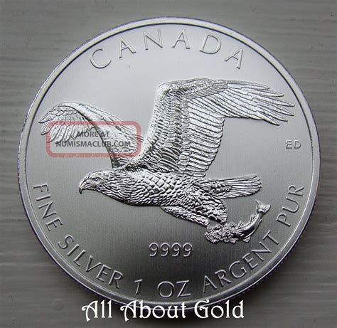 2014 Silver Coin 1 Troy Ounce Bald Eagle Birds Of Prey Canada 9999 Bu