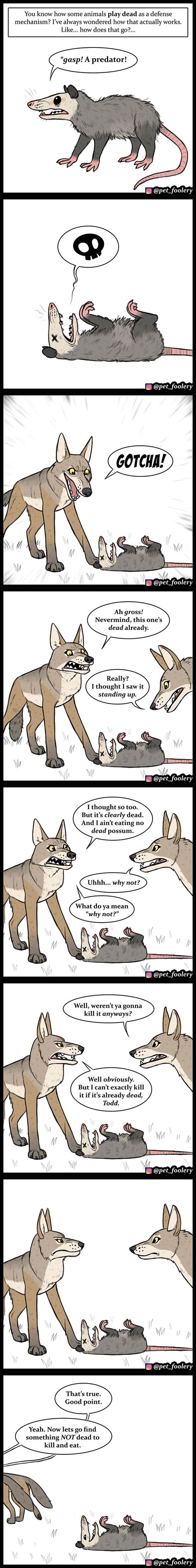 30 Funny Comics About Animals By Pet Foolery Delaram Art And Design