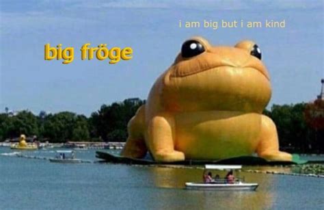 Sapo Frog Stupid Memes Funny Memes Frog Meme Frog Pictures The