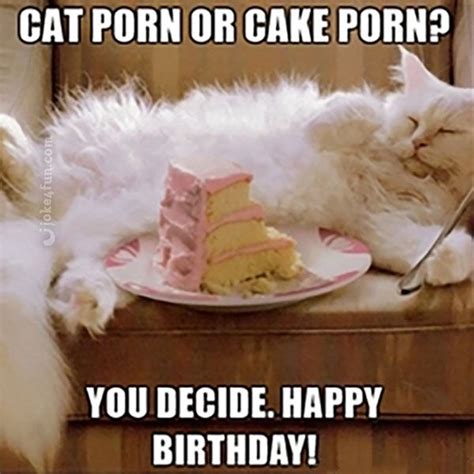 Download The Stunning Happy Birthday Memes Funny Cat Hilarious Pets