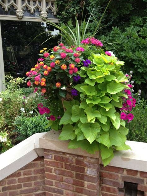 8 Stunning Container Gardening Ideas Container Flowers