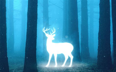 1440x900 Deer In Magical Forest 1440x900 Resolution Hd 4k Wallpapers