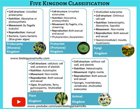 Five Kingdom Classification Proposed By Rh Whittaker 1969