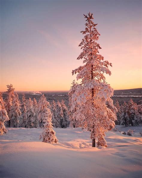 Mesmerizing Winter Wonderland Photos Of Lapland In Finland By Essi