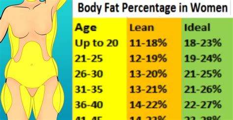 Body Fat Percentage Chart And How To Measure Body Fat