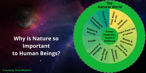 Why Is Nature So Important To Human Beings Team4nature