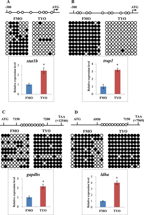 Confirmation Of Wgbs Data By Bs Pcr And Qpcr A Dna Methylation And