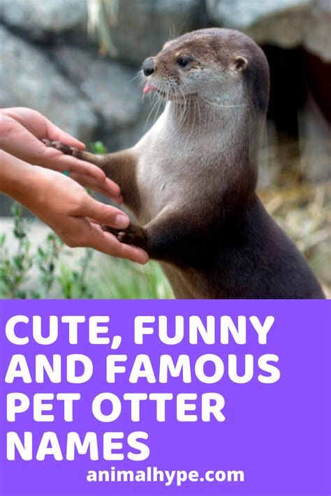 Cute And Funny Pet Otter Names Cute Pet Names Cute Animal Names