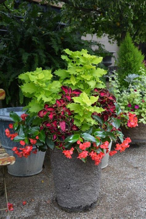 Great Examples Of Container Plantings For Shade By Designer Deborah