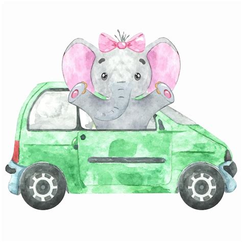 Elefante Bebé Dibujado A Mano En Acuarela En Coche Vector Premium
