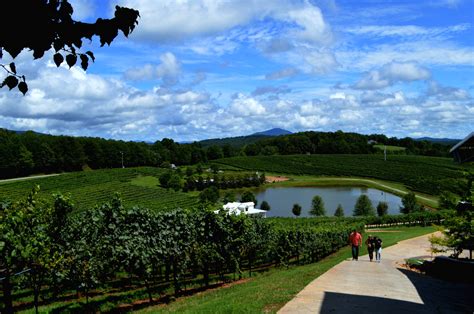 Wineries In Dahlonega Ga That You Must Try Black Southern Belle