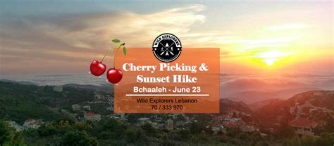 Cherry Picking And Sunset Hike Lebtivity