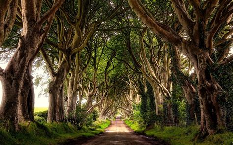 The Award Winning Waterfall Caves And Turn Around Houses Limavady