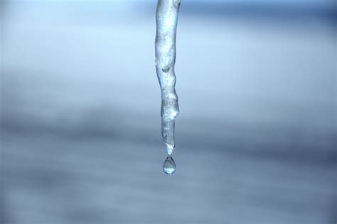 Free Images Cold Winter Drop Sky Daytime Ice Frozen Twig