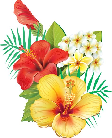 Tropical Hibiscus Flowers Clipart Full Size Clipart 713084