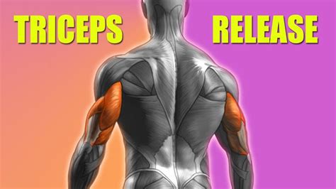 Triceps Self Massage Get Rid Of Triceps Pain With Trigger Point