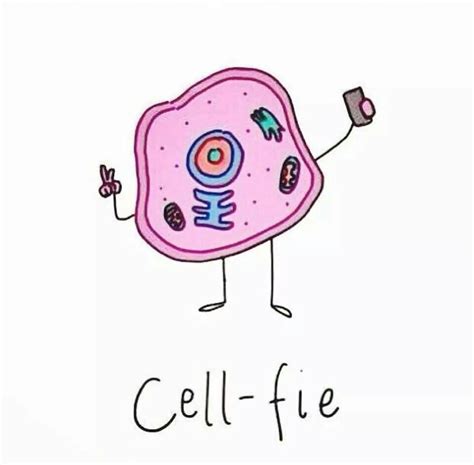 Cell Fie Science Cartoons Biology Jokes Science Puns