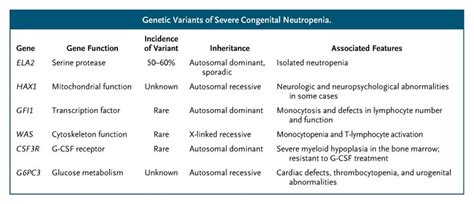 The Many Causes Of Severe Congenital Neutropenia Nejm