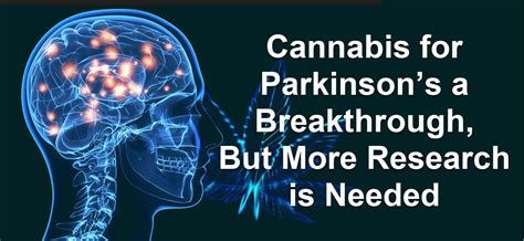 cannabis for parkinson s disease has a breakthrough but more research is needed