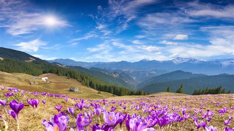 Mountains In Spring Wallpapers Wallpaper Cave