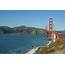 Natural History Of San Francisco Bay – NatureTrip