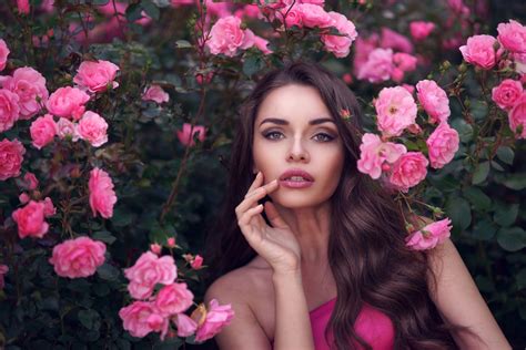 K Roses Brown Haired Glance Hands Rare Gallery Hd Wallpapers