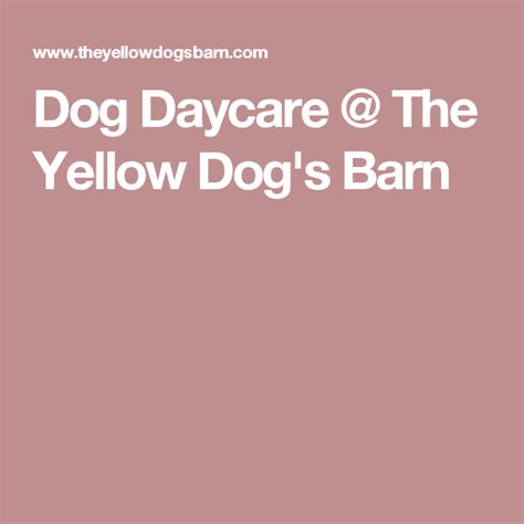 Dog Daycare The Yellow Dogs Barn Daycare Facility Dog Daycare Barn