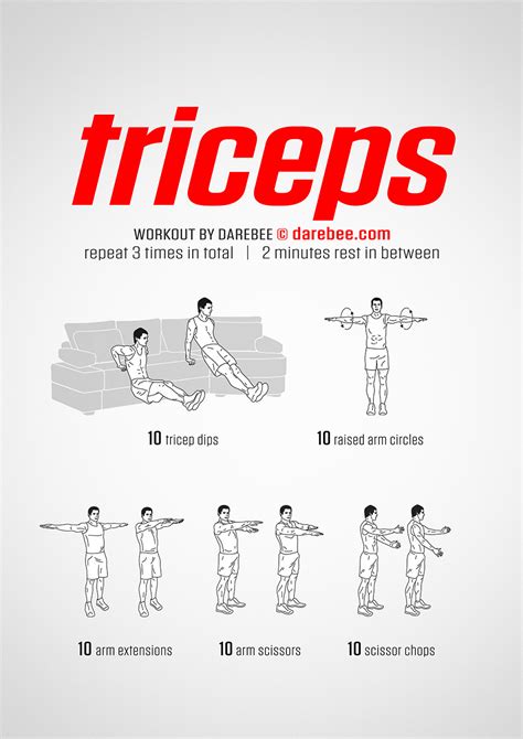 Chest And Triceps Workout No Equipment