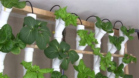 How To Make A Hydroponic Grow Tower Millie Diy