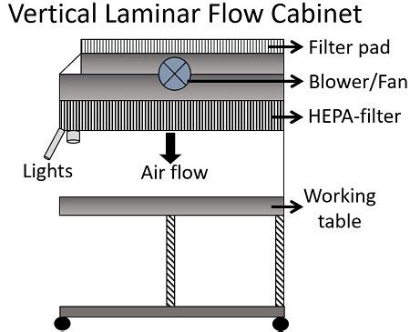 Laminar Flow Cabinet Diagram Review Home Co