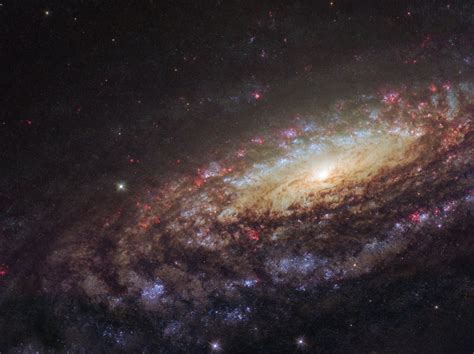 A Grande E Bonita Galáxia Espiral Ngc 7331