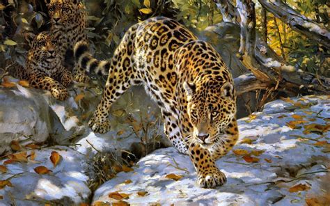 Donald Grant Jaguar Art Autumn Wallpapers Hd Desktop And Mobile