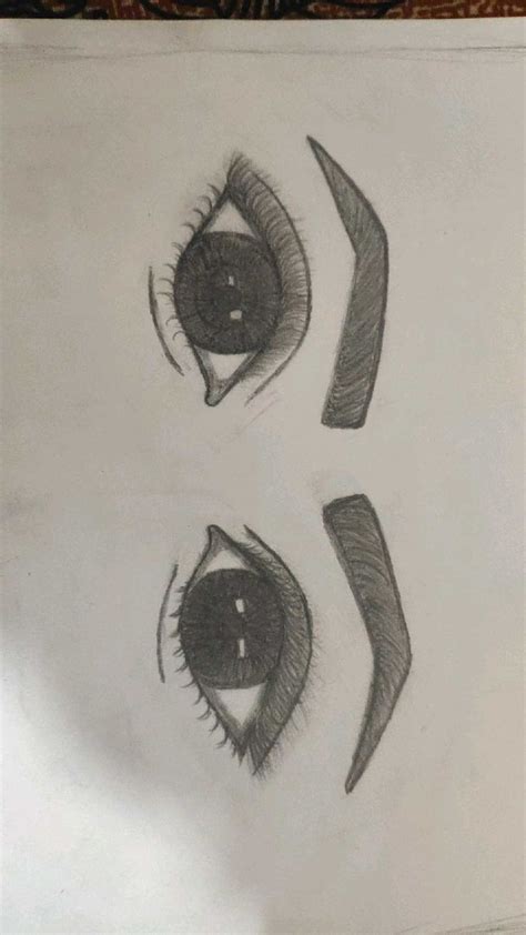 Three Different Types Of Eyes Are Shown In This Drawing