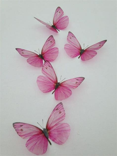 8 Rose Pink 3d Butterflies Butterfly Picture By Mybutterflylove