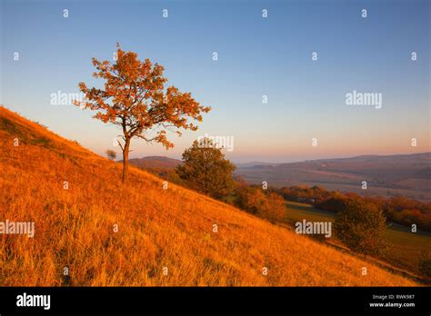 Morning In Central Bohemian Uplands Czech Republic View From The Hill